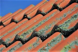 Roof Restoration Brisbane Services